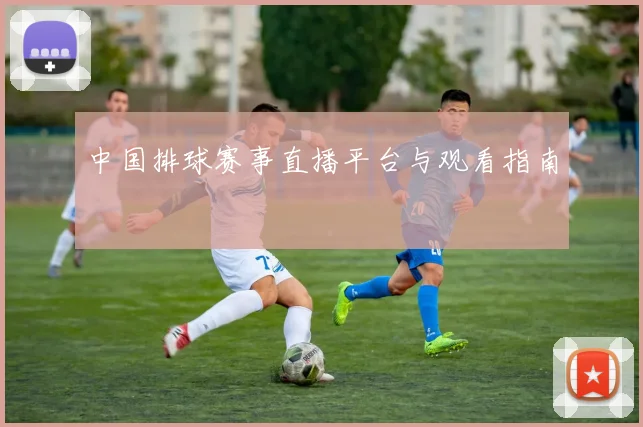 中国排球赛事直播平台与观看指南