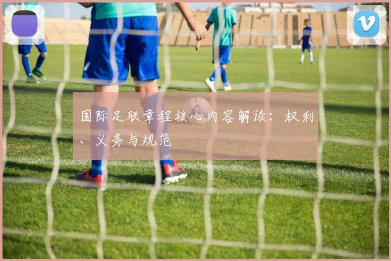 国际足联章程核心内容解读：权利、义务与规范